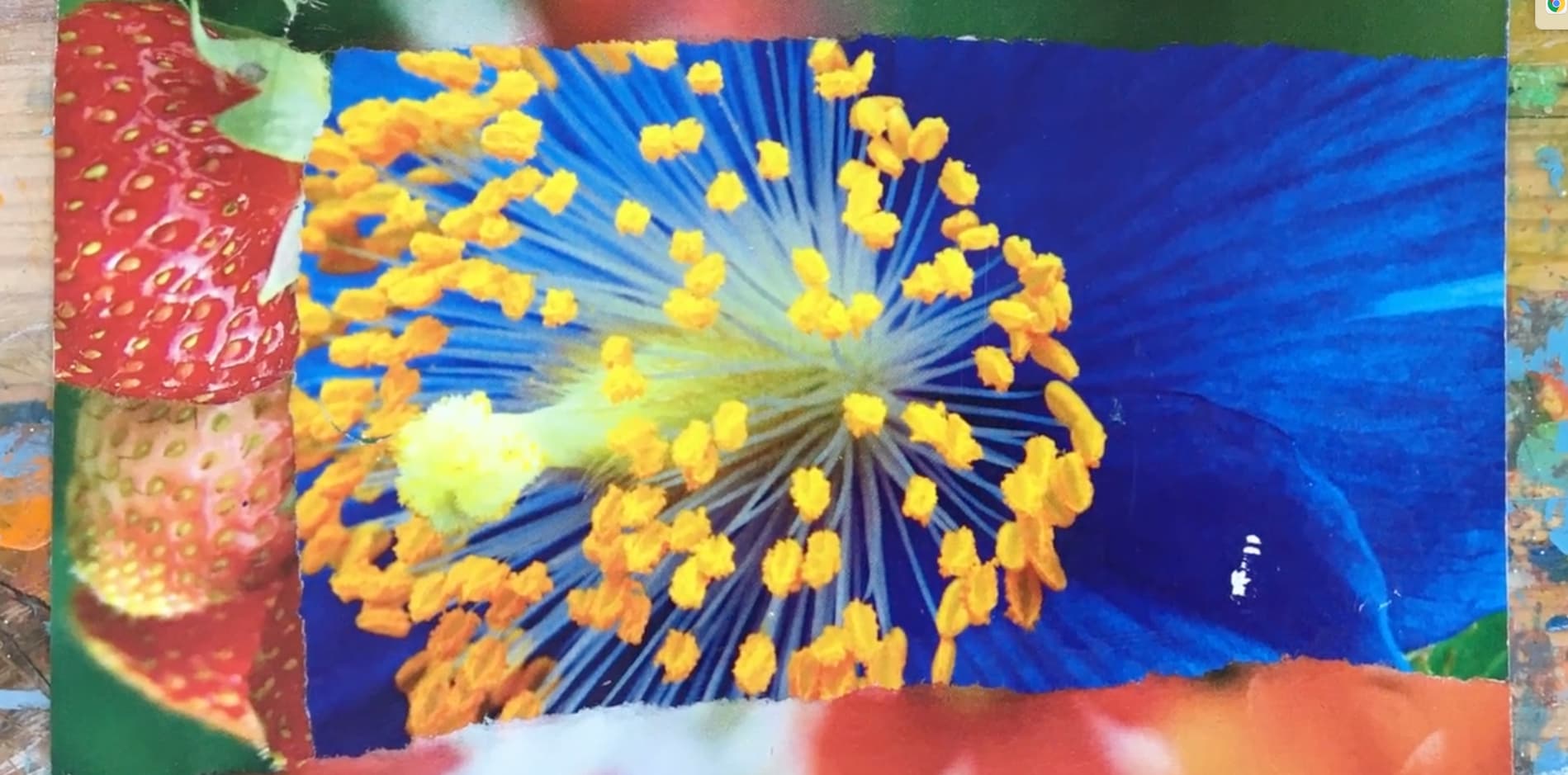 The Fitzwilliam Museum How to design and make your own postcard